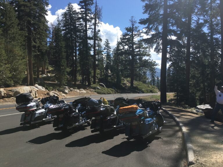 Day 14: Into the Woods of Yosemite and the Sci-Fi Skies of Area 51